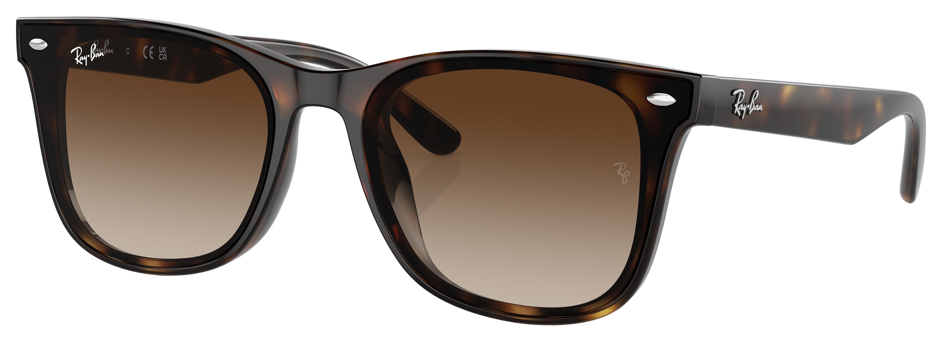 Ray-Ban RB4420 Gradient Sunglasses | Bass Pro Shops